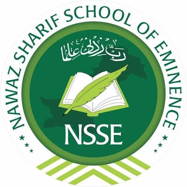 School partner logo